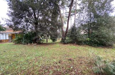 AU COEUR DE LA PALMYRE, TERRAIN CONSTRUCTIBLE NON VIABILISE — photo du bien