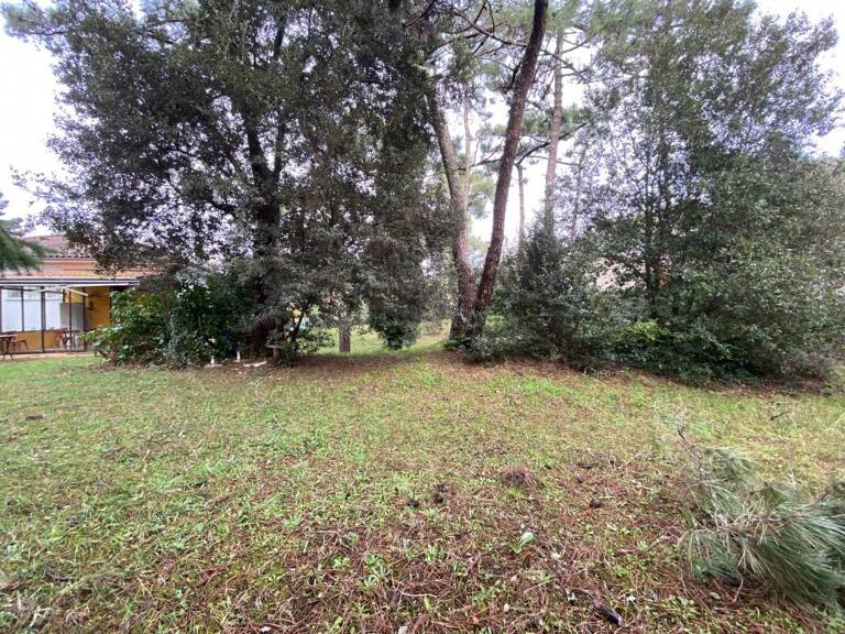AU COEUR DE LA PALMYRE, TERRAIN CONSTRUCTIBLE NON VIABILISE — photo 1