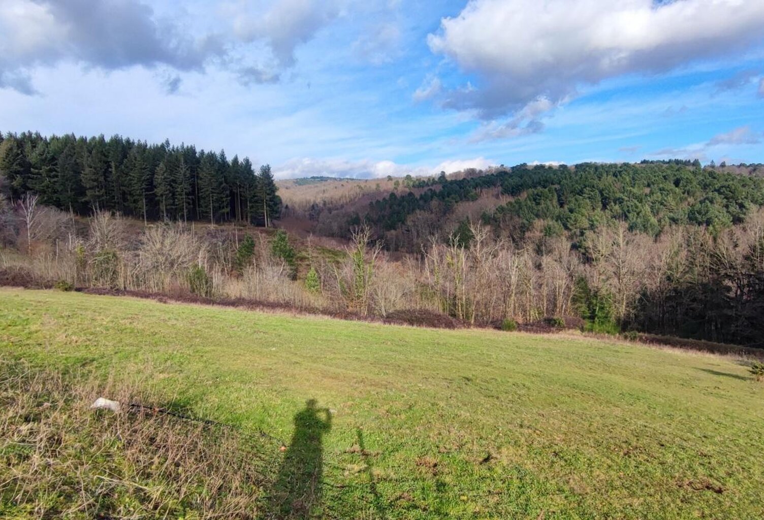Terrain À Vendre — photo 1