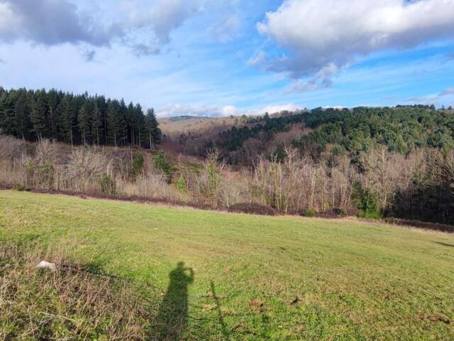 Terrain À Vendre — photo du bien