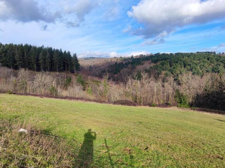 Terrain À Vendre — photo 1