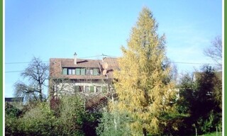 Photo N° 3