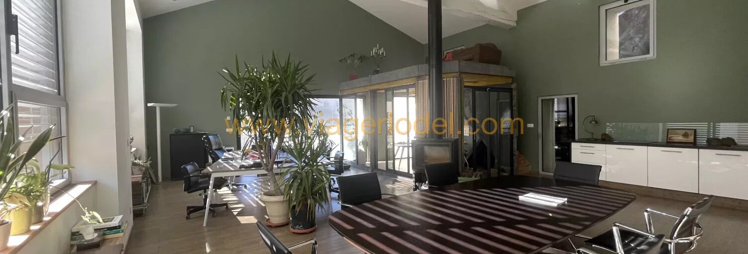 Immeuble 550 m² en viager Vienne (38200)