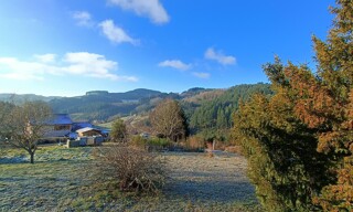 Photo N° 16
