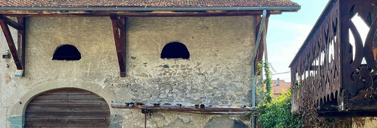 Maison 8 Pièces 250 m² à vendre à Publier (74500)