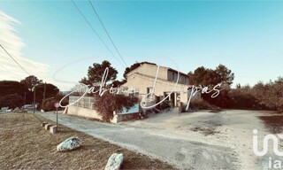 Photo N° 19