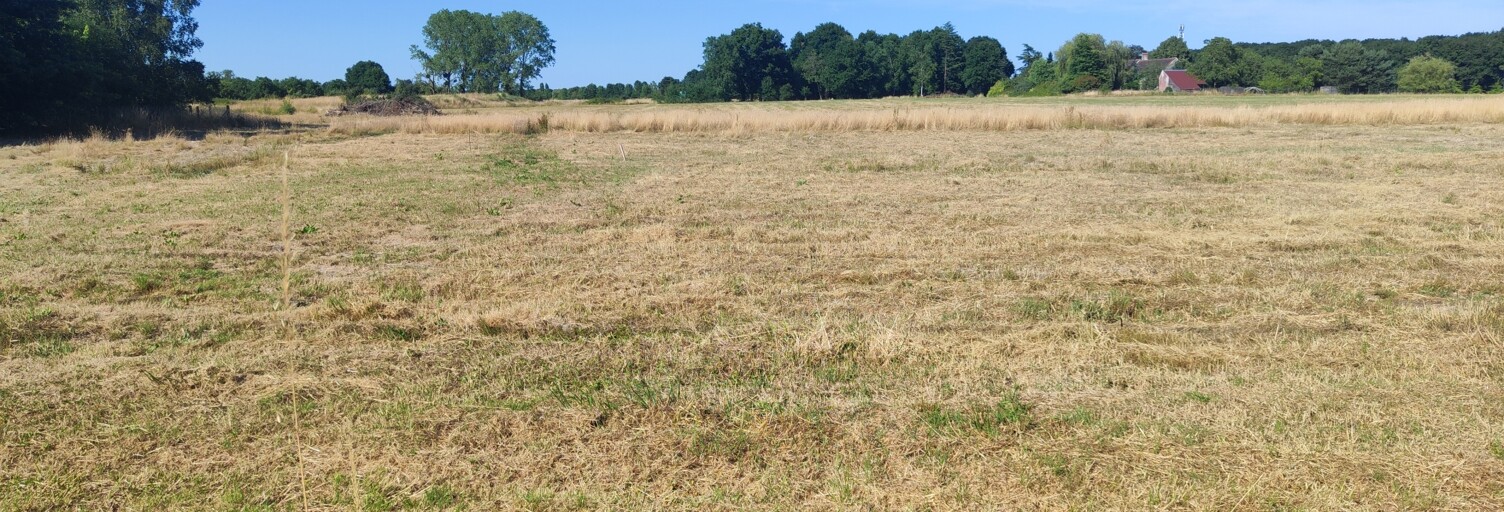 Terrain  1051 m² à vendre à Chanteau (45400)