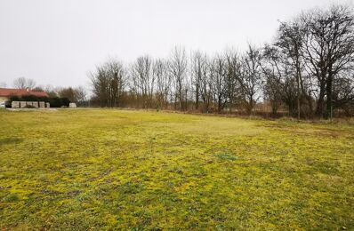 vente terrain 31 000 € à proximité de Cloyes-sur-Marne (51300)