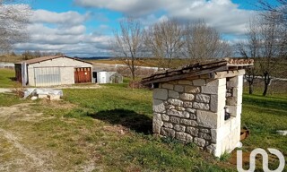 Photo N° 6