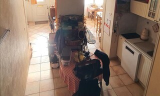 Photo N° 3