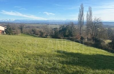 vente terrain 39 000 € à proximité de Pommier-de-Beaurepaire (38260)