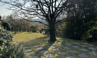 Photo N° 11