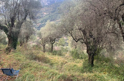 terrain  pièces 750 m2 à vendre à Castellar (06500)