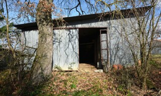 Photo N° 4