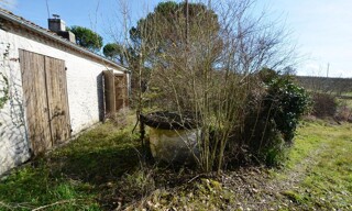 Photo N° 6