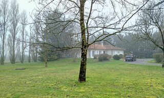 Photo N° 8
