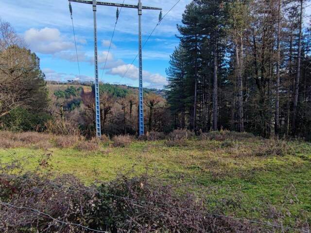 Terrain À Vendre — photo du bien