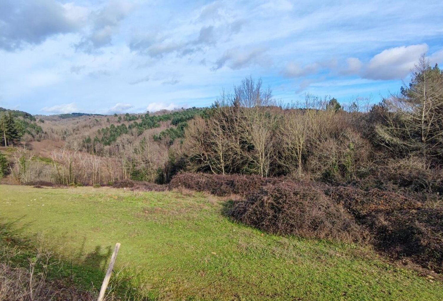 Terrain À Vendre — photo 1