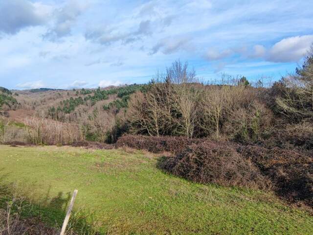 Terrain À Vendre — photo du bien