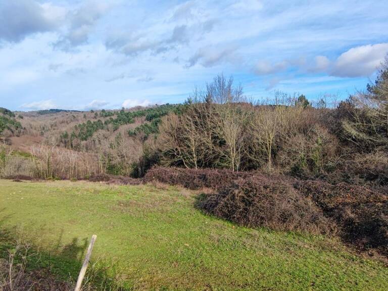Terrain À Vendre — photo 1