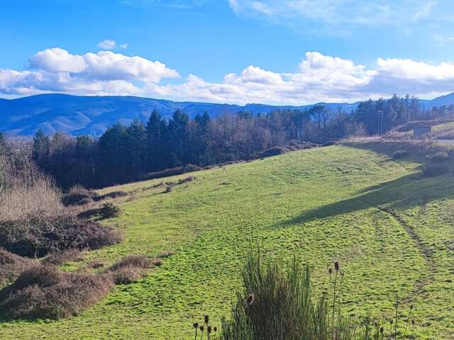 Terrain À Vendre — photo du bien