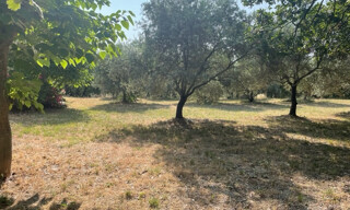 Photo N° 4