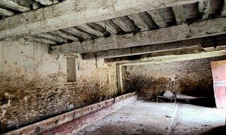 Photo N° 6