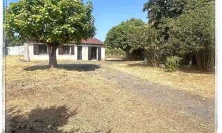 Maison 4 Pièces 80 m² à vendre à Lamothe-Montravel (24230)