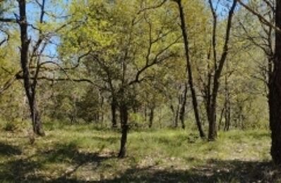 vente terrain 20 000 € à proximité de Mirabel-Aux-Baronnies (26110)