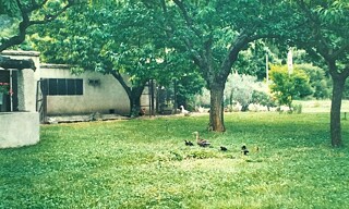 Photo N° 2