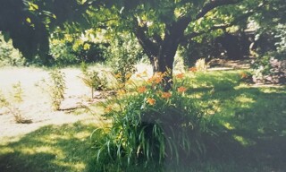 Photo N° 4