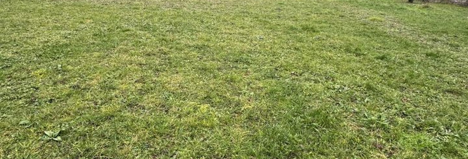 Terrain  981 m² à vendre à Le Mérévillois (91660)