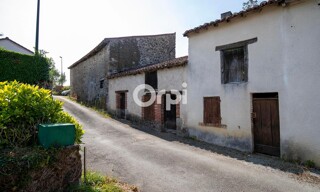 Photo N° 6