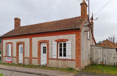 vente maison 108 000 € à proximité de Souvigny-en-Sologne (41600)