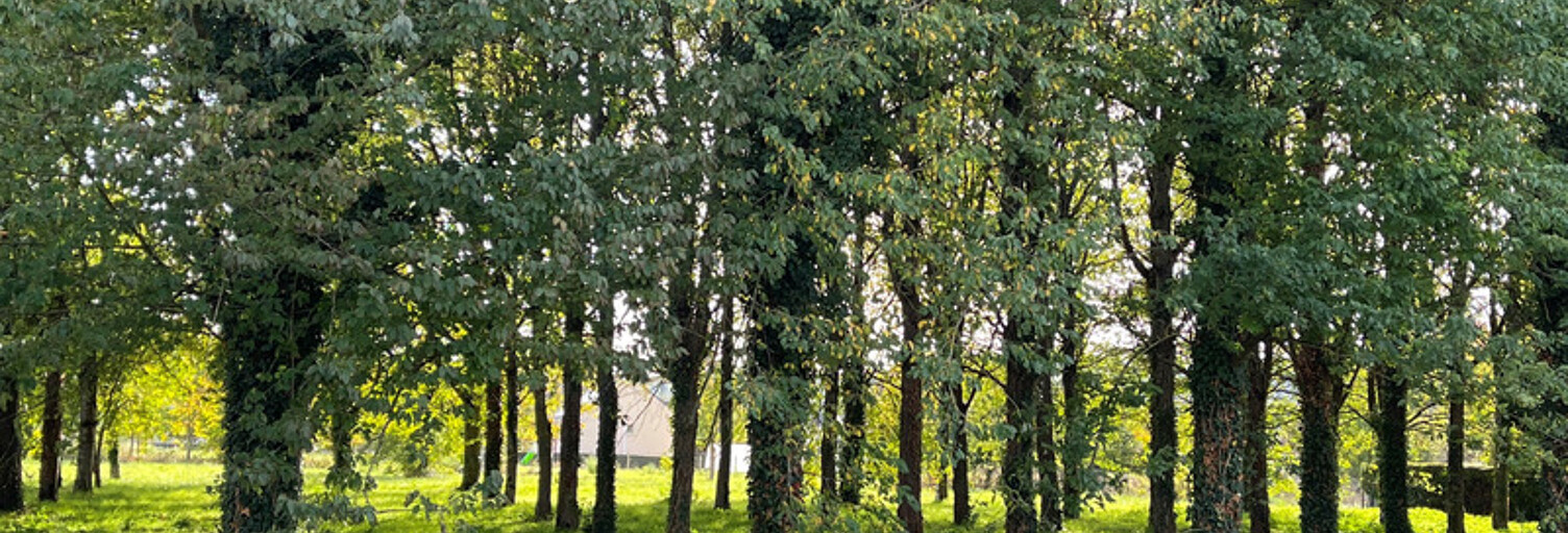 Terrain  990 m² à vendre à Vernantes (49390)