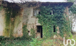Photo N° 4