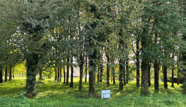 Terrain  à vendre Saumur 49400