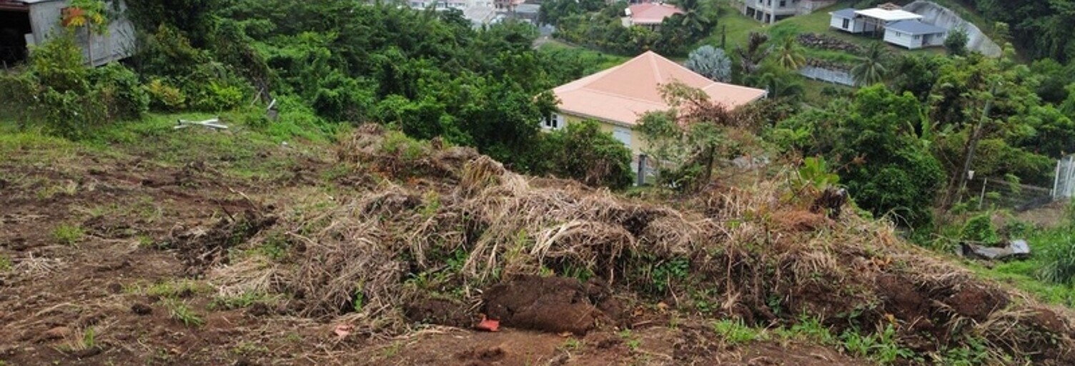 Terrain  900 m² à vendre à La Trinité (97220)