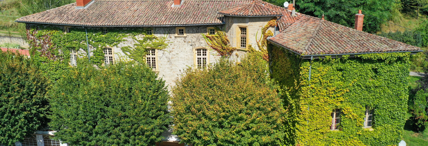 Maison 15 Pièces 870 m² à vendre à Brullioles (69690)