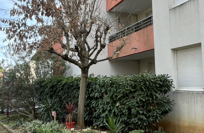 Appartement trois pièces en rez de chaussée - vendu loué — photo 2