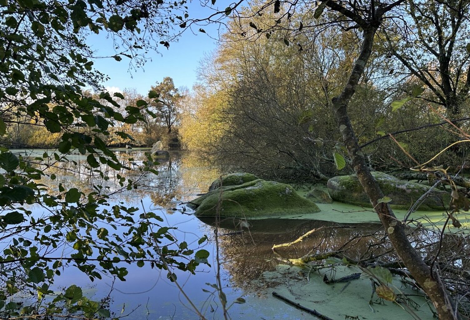 Terrain de loisir avec un etang — photo 1