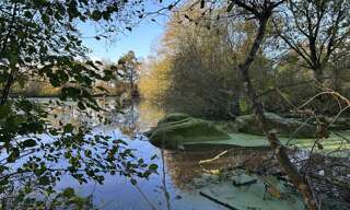 Terrain  8220 m² à vendre à Rives-de-l'Yon (85310)