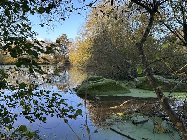 Terrain de loisir avec un etang — photo du bien