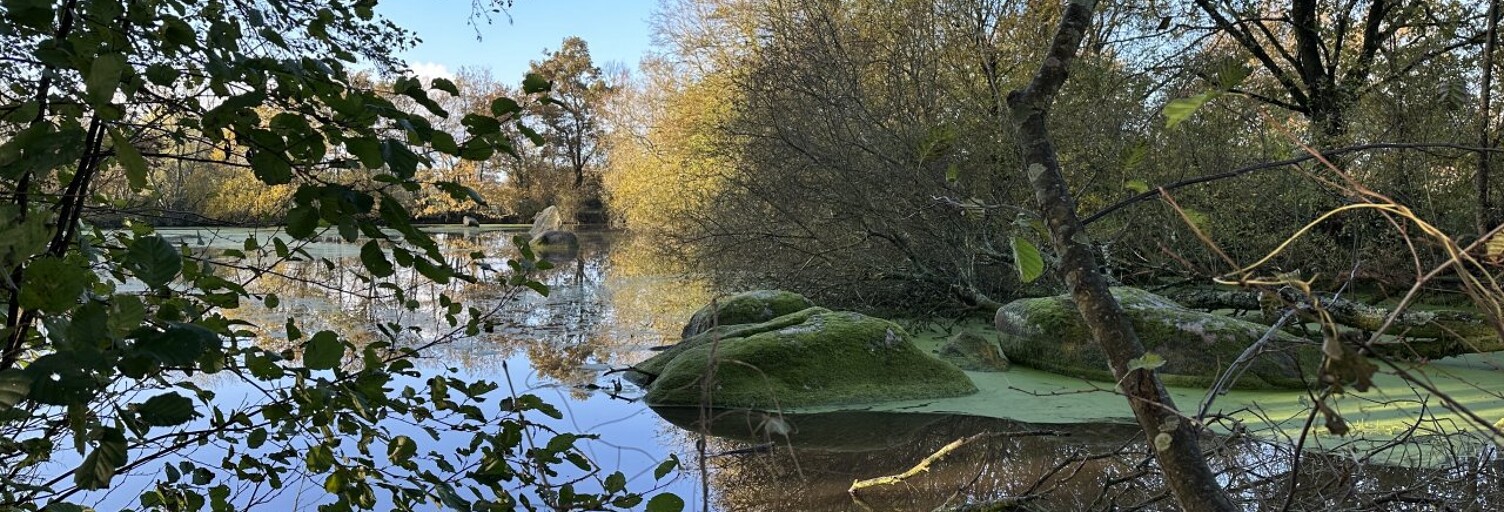 Terrain  8220 m² à vendre à Rives-de-l'Yon (85310)