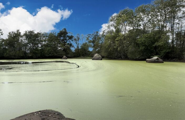 Terrain de loisir avec un etang — photo 2