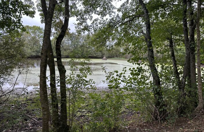Terrain de loisir avec un etang — photo 4
