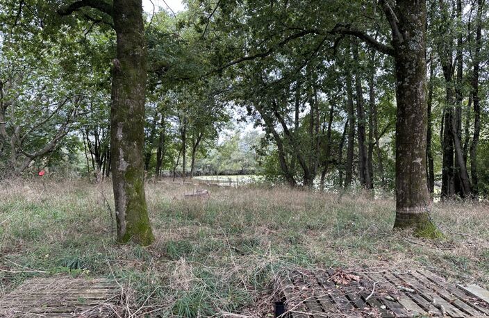 Terrain de loisir avec un etang — photo 5