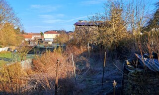 Photo N° 6