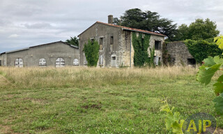 Photo N° 4