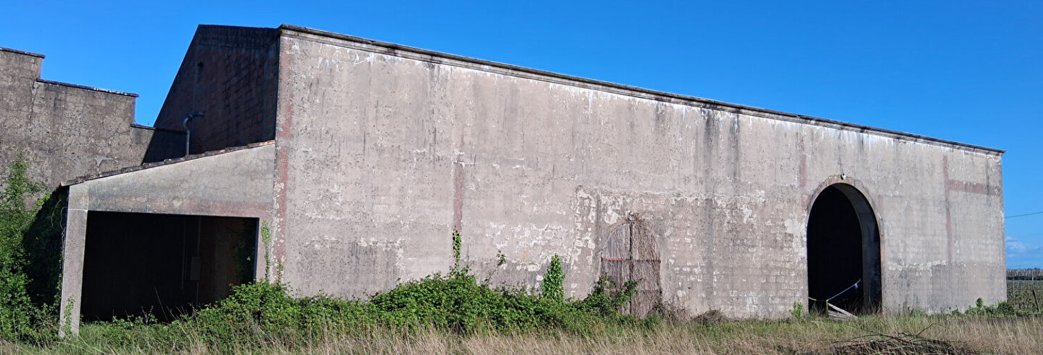 Immeuble  1500 m² à vendre à Saint-Seurin-de-Cadourne (33180)